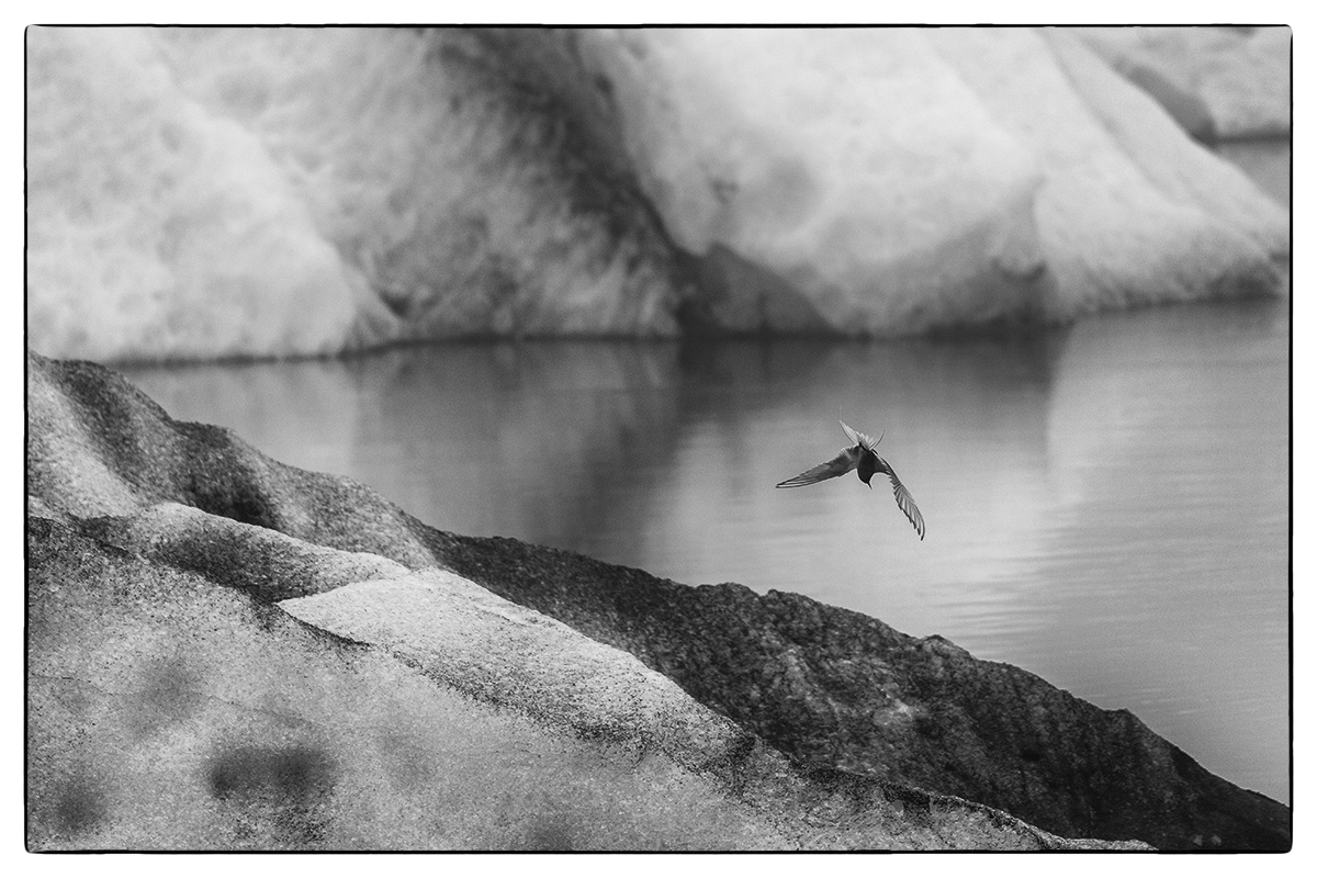 Am Jökulsarlon