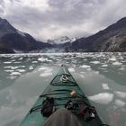 Am John Hopkins Gletscher, Alaska