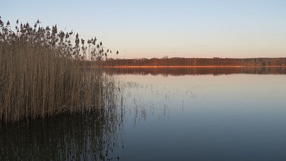 Am Käbelicksee