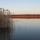 Am Käbelicksee