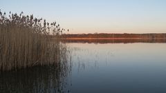 Am Käbelicksee