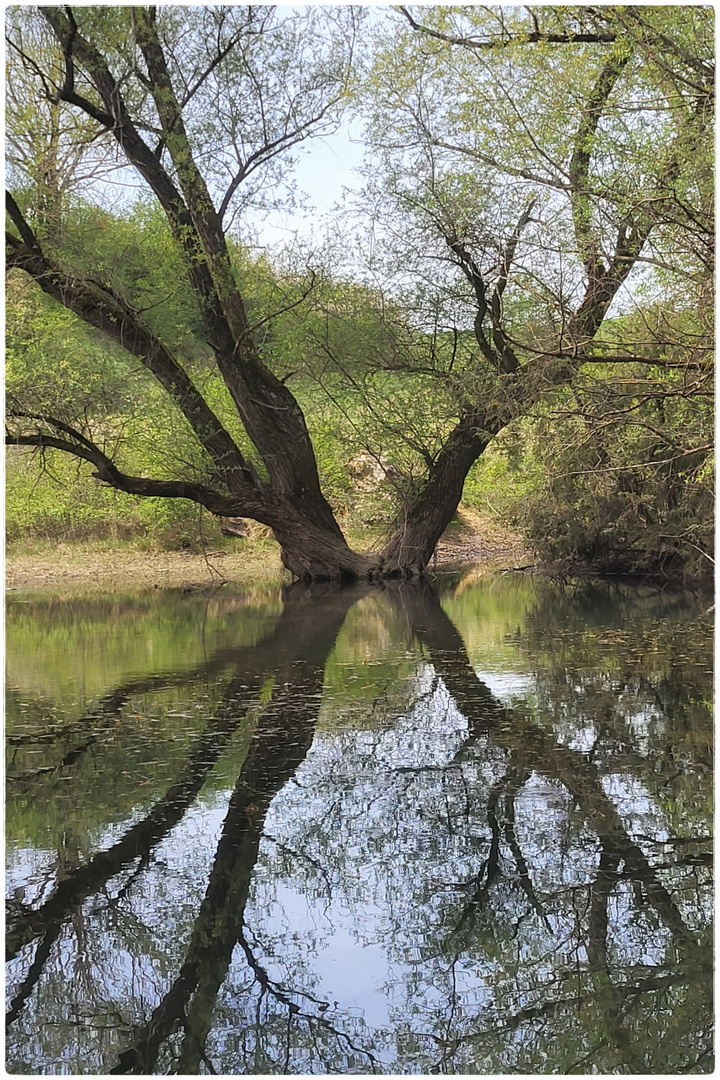 Am Käsbühlweiher