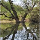 Am Käsbühlweiher