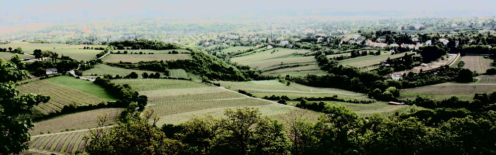 Am Kahlenberg