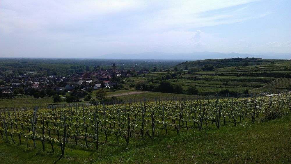 Am Kaiserstuhl 2