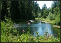 Am Kaltenbachsee...