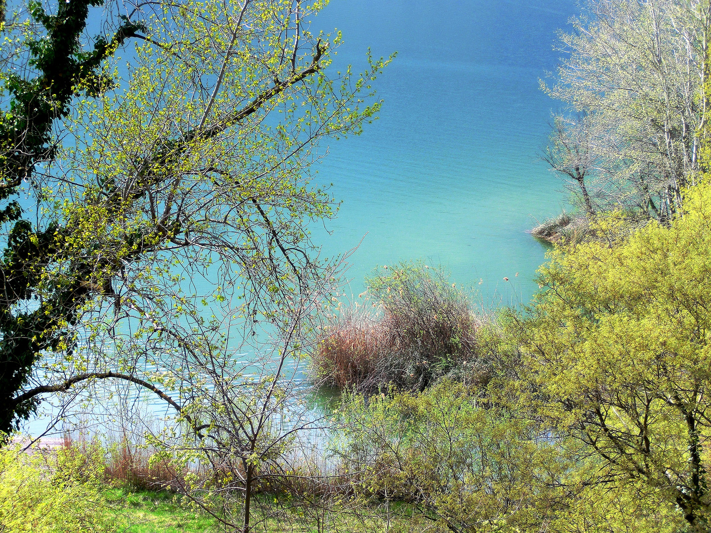 Am Kalterer See