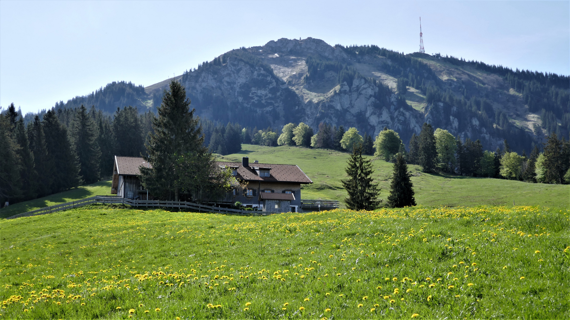 Am Kammeregg unterm Grünten