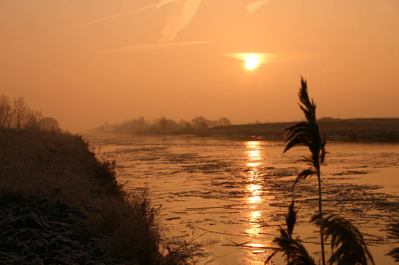 Am Kanal