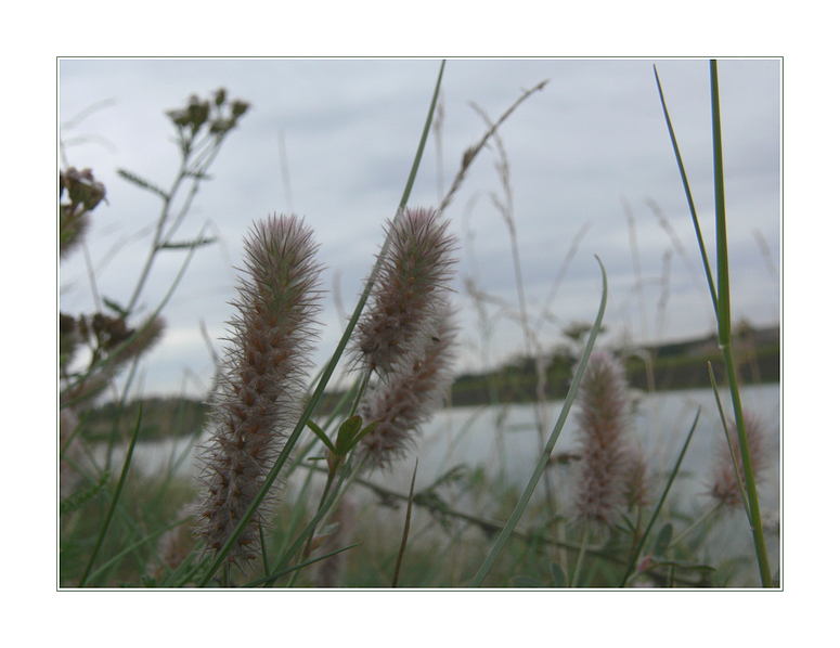 Am Kanal