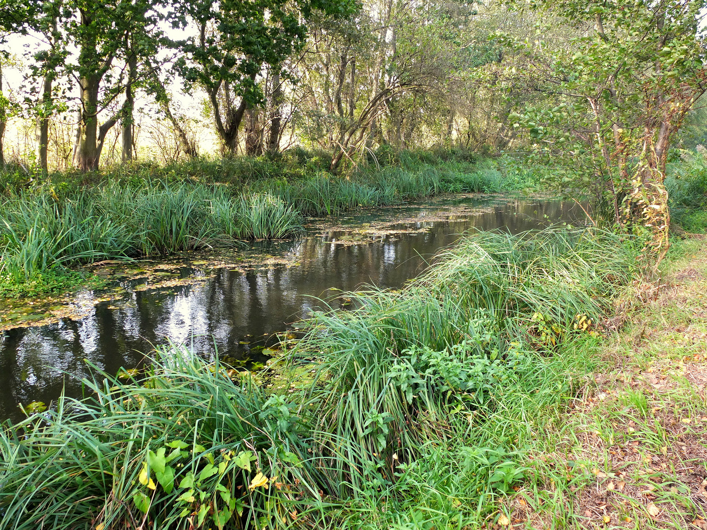 am Kanal