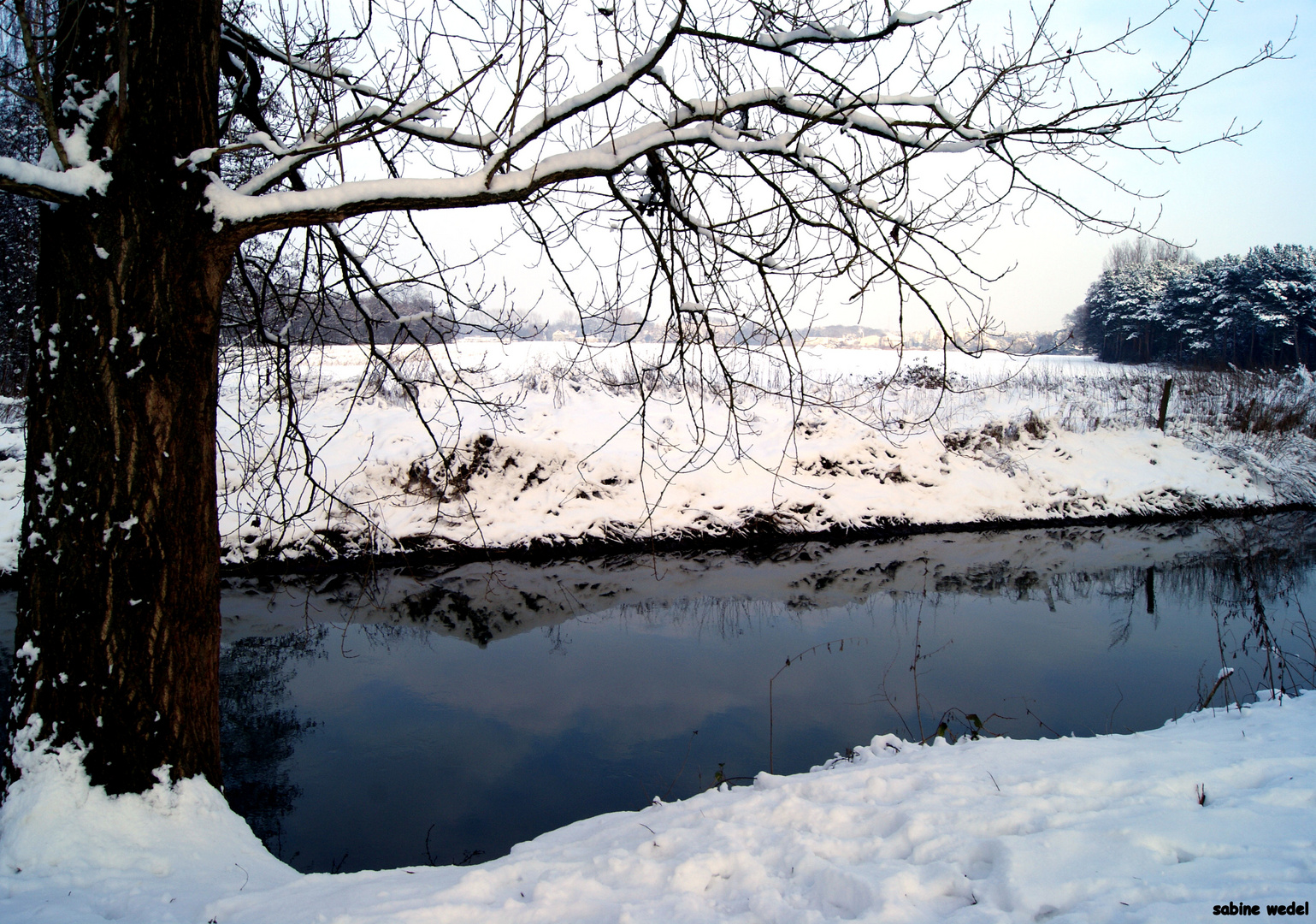 Am Kanal