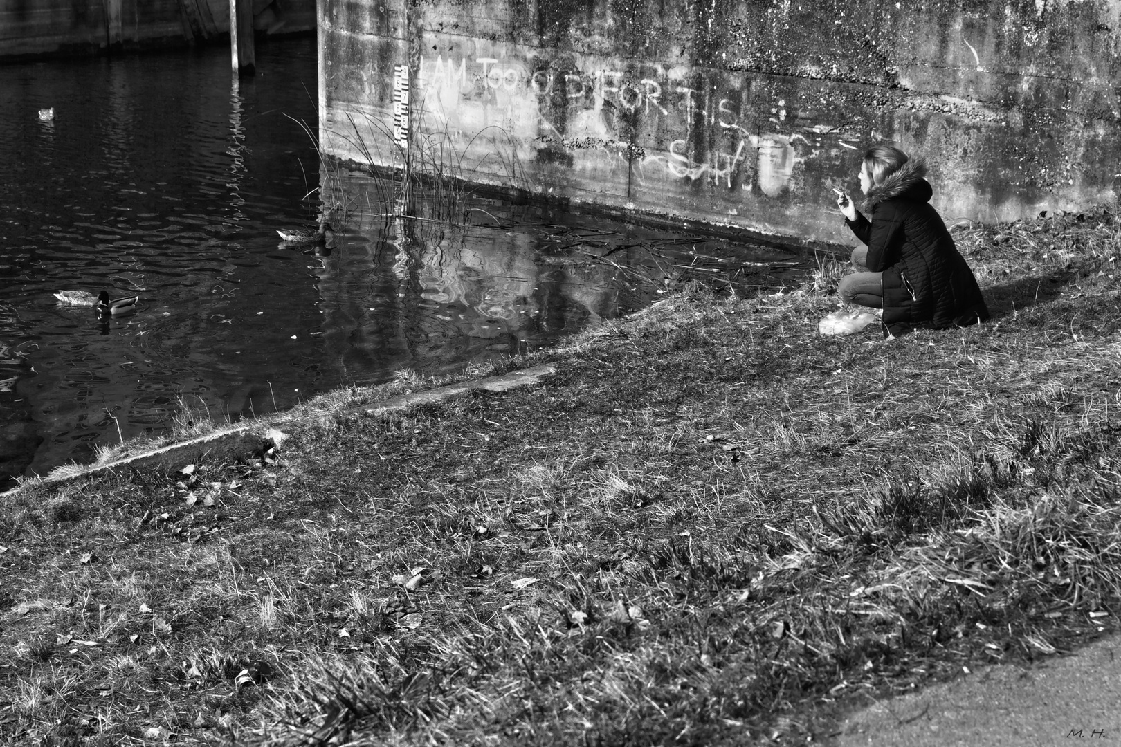 Am Kanal im Vorfrühling