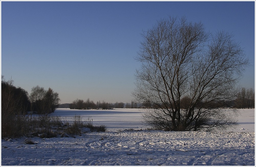 Am Kanal (Winterimpressionen 7)