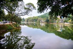 Am Kandy See