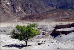 am Karakorum Highway