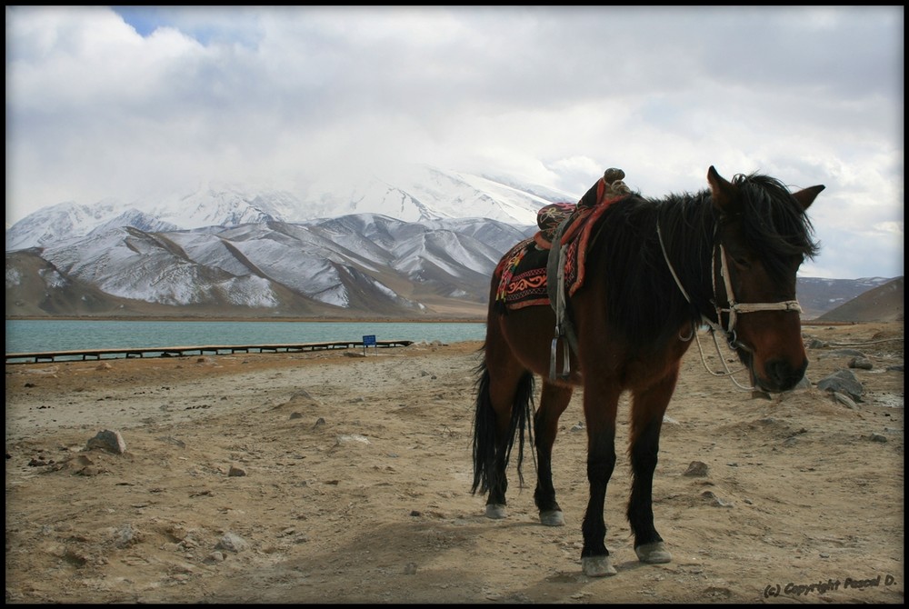 Am Karakorum-Highway