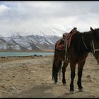 Am Karakorum-Highway