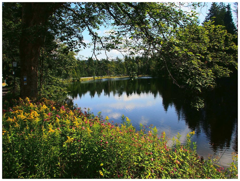 Am Karchesweiher (Fichtelgebirge)