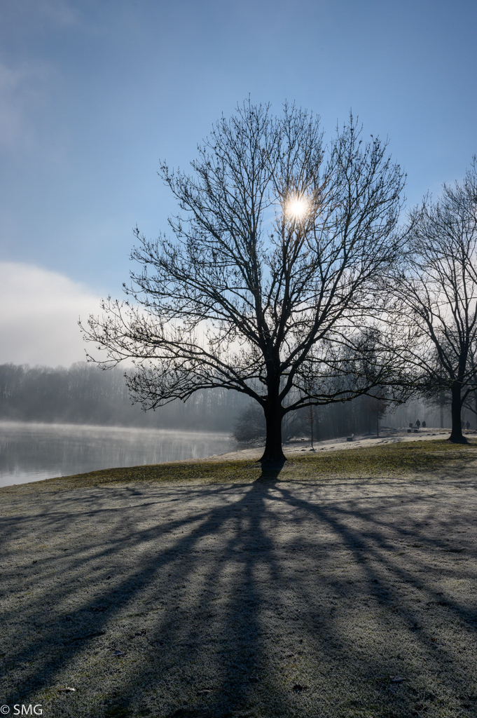 Am Karlsfelder See