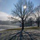 Am Karlsfelder See