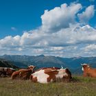 am Karnischen Höhenweg II