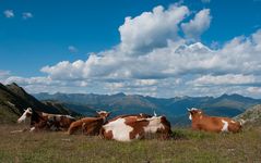 am Karnischen Höhenweg II