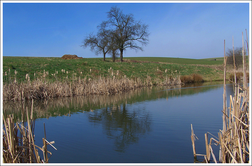 Am Karpfenteich