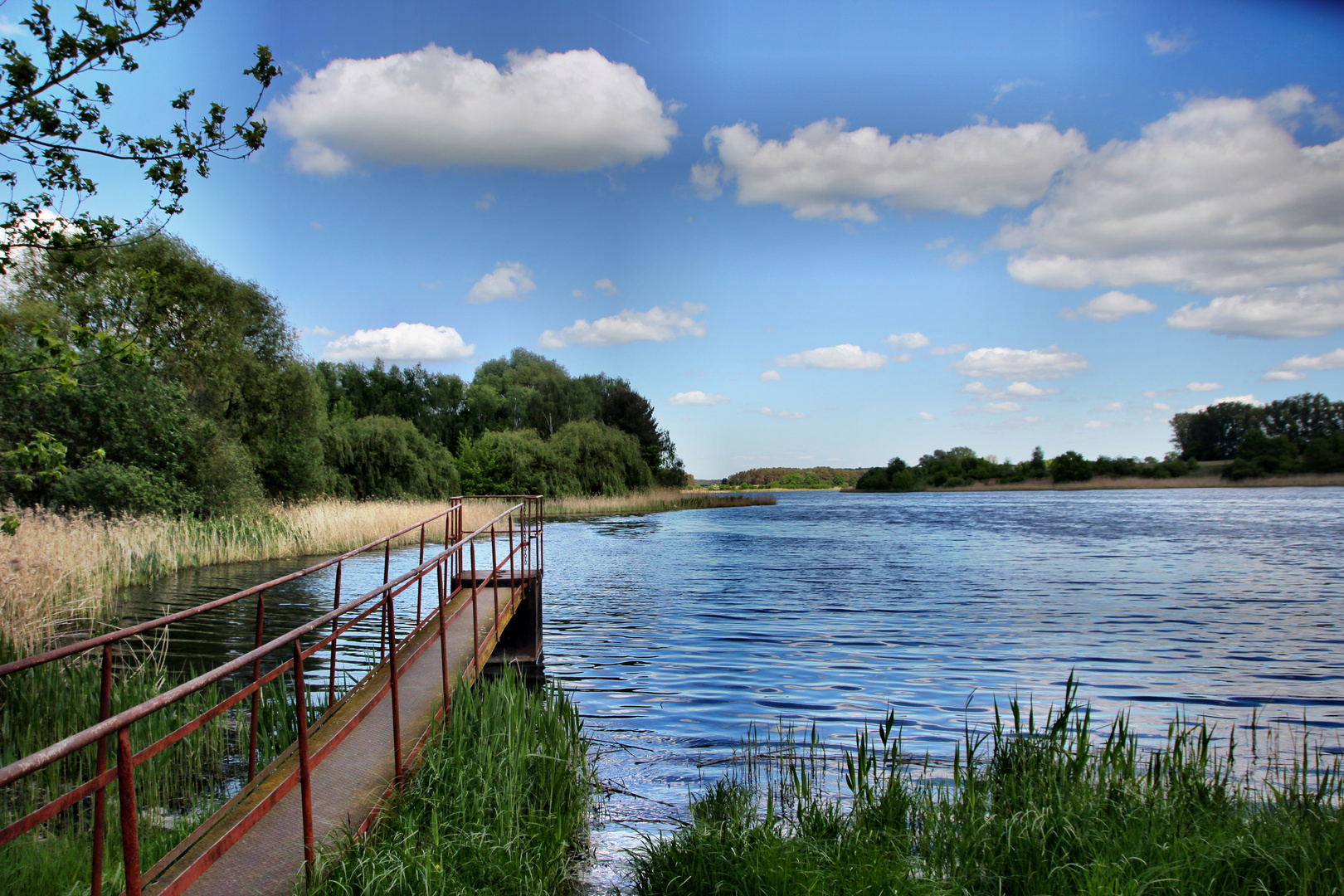am Karpfenteich Foto & Bild spezial, wolken, natur Bilder auf