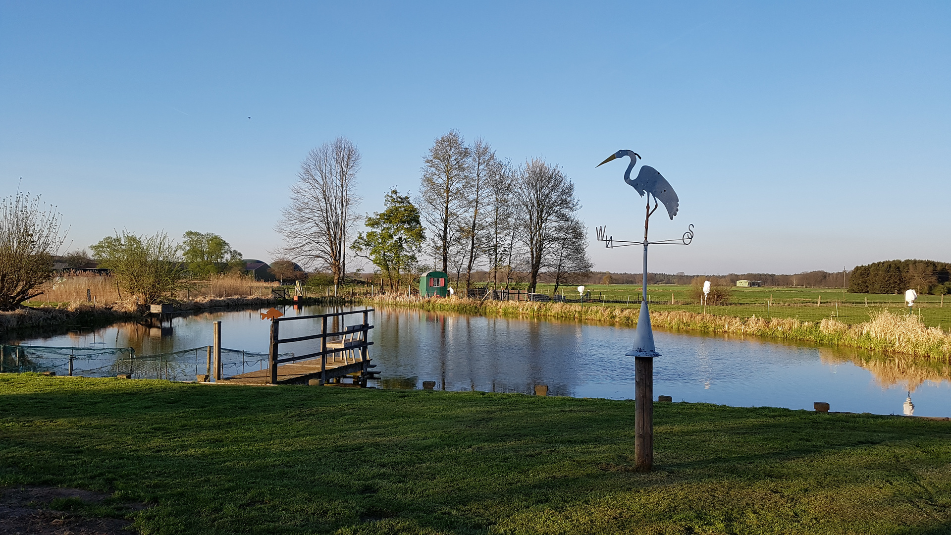 Am Karpfenteich...