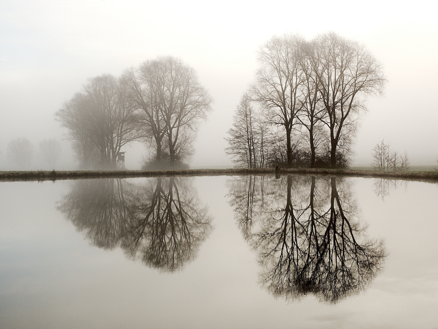 Am Karpfenteich