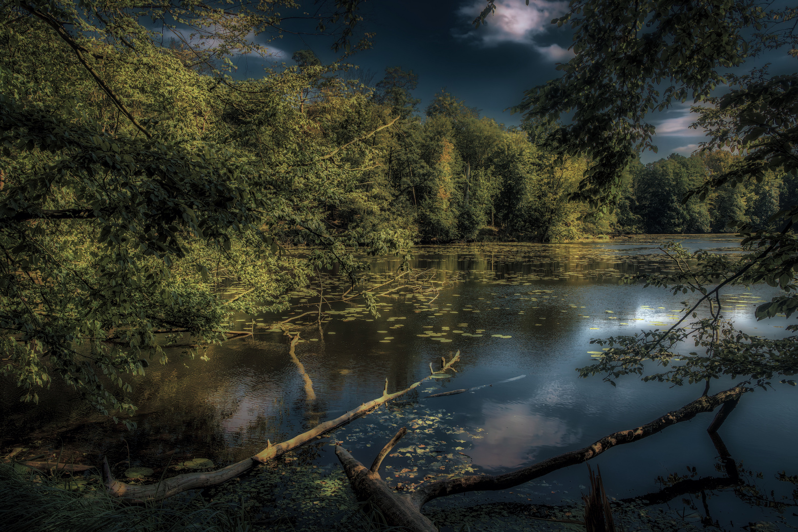 Am Karpfenteich im Boitzenburger Tiergarten Foto & Bild deutschland