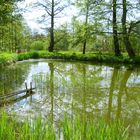 am Karpfenweiher.