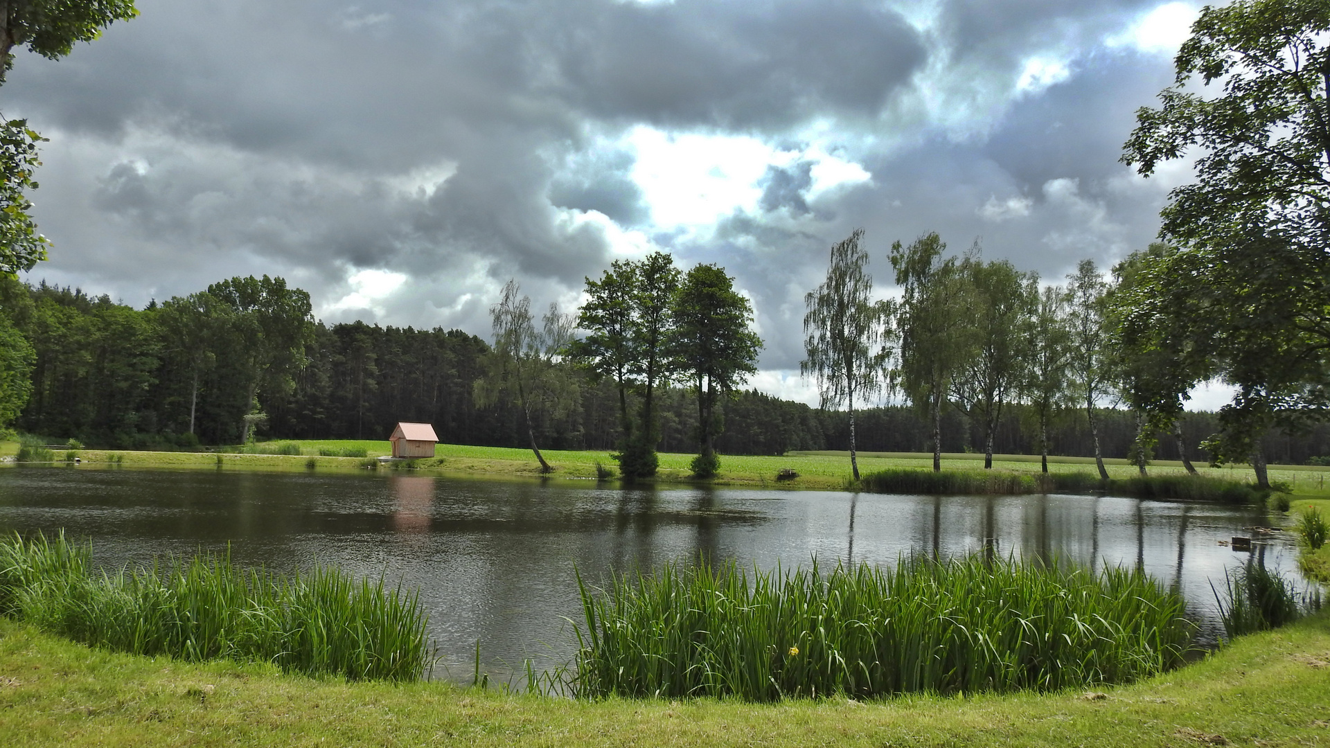 am Karpfenweiher 5