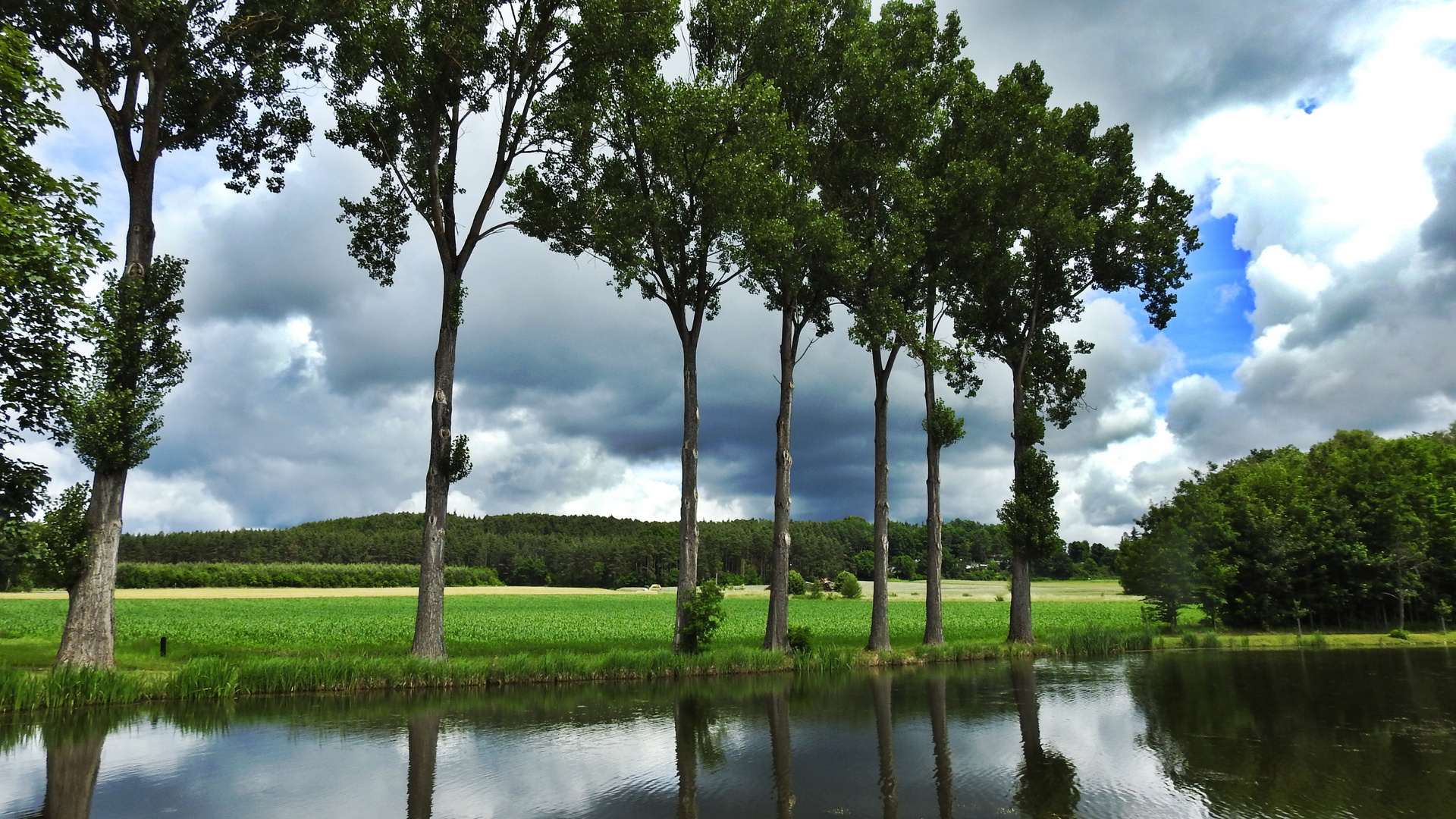 am Karpfenweiher 7