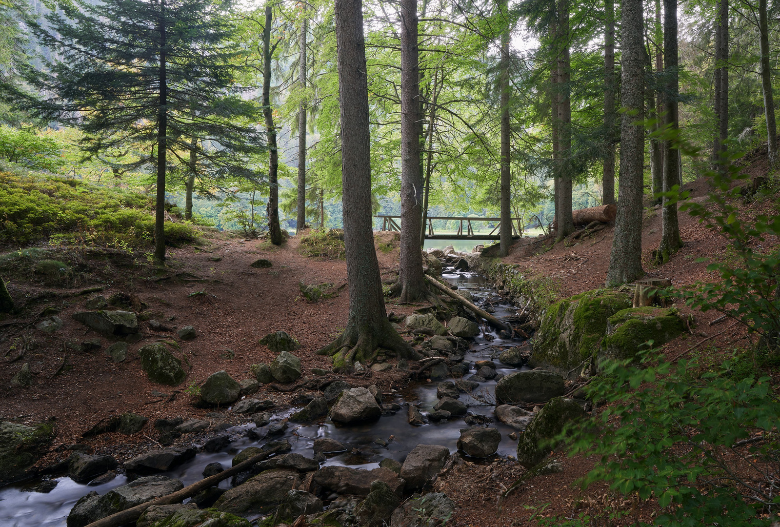 Am Karsee Foto & Bild deutschland, europe, baden württemberg Bilder