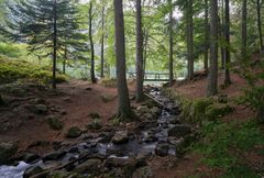 Am Karsee