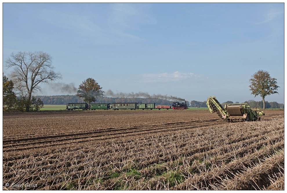 Am Kartoffelfeld vor Mesendorf (1)