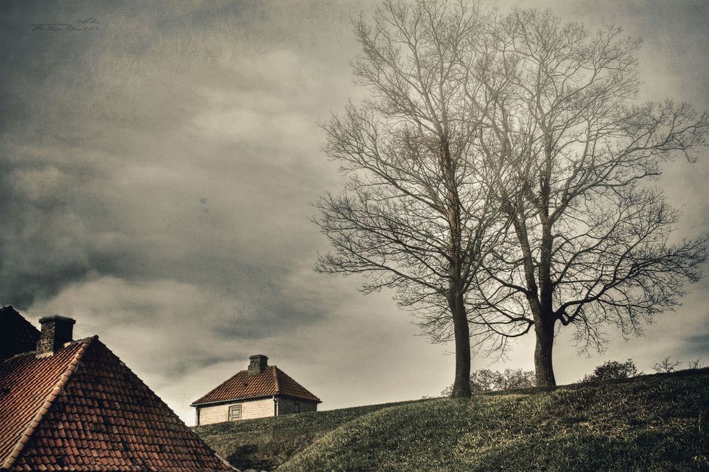 Am Kastell Foto & Bild spezial, bäume, wolken Bilder auf