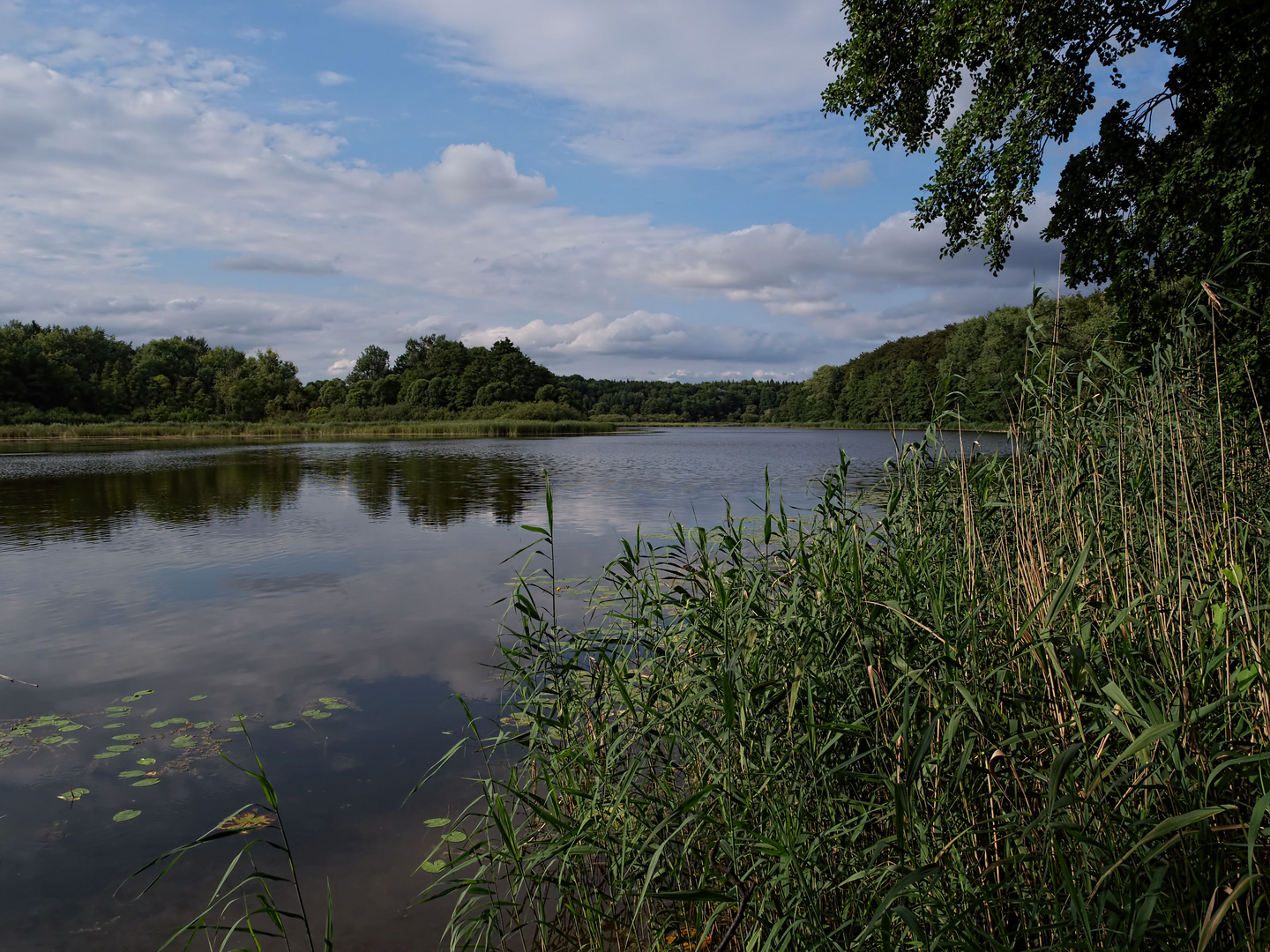 am Kastorfer See 