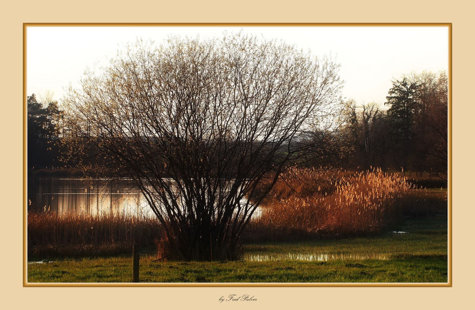 Am Katzensee bei Zürich