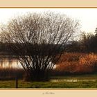 Am Katzensee bei Zürich