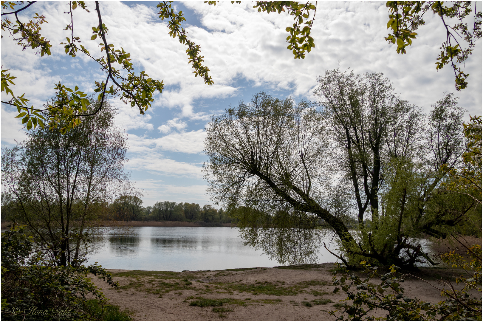 Am Kaulsdorfer See (01)