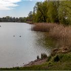 Am Kaulsdorfer See (02)