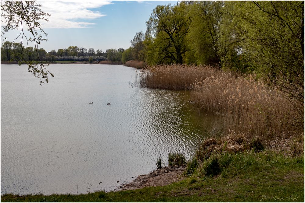 Am Kaulsdorfer See (02)