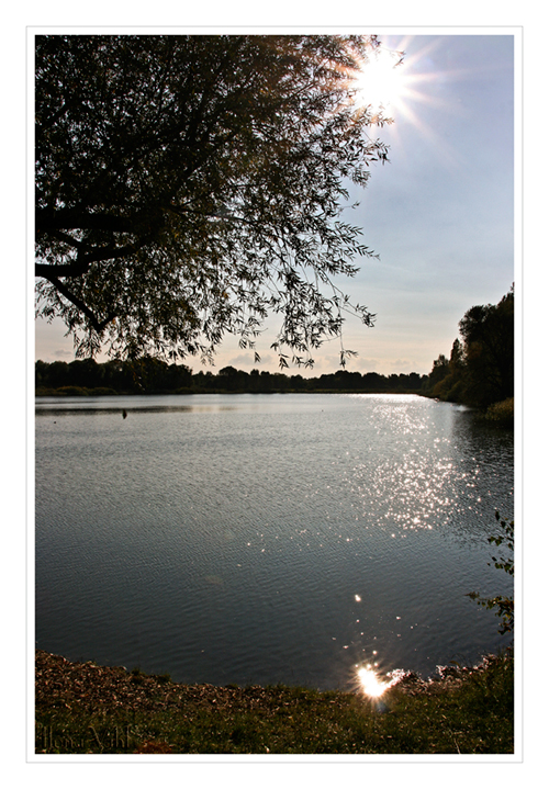 Am Kaulsdorfer See