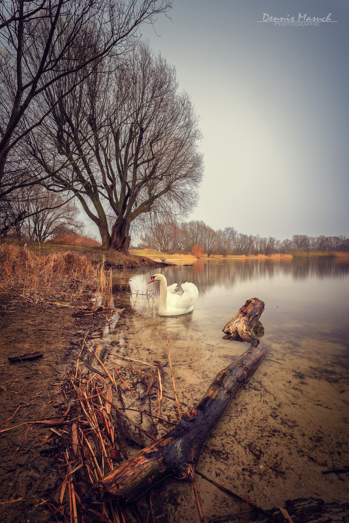 Am Kaulsdorfer See