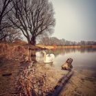 Am Kaulsdorfer See