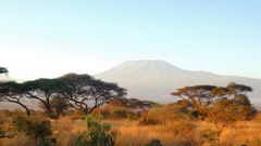 am Kilimanjaro - mal ohne bewölktem Gipfel