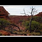 Am Kings Canyon 04